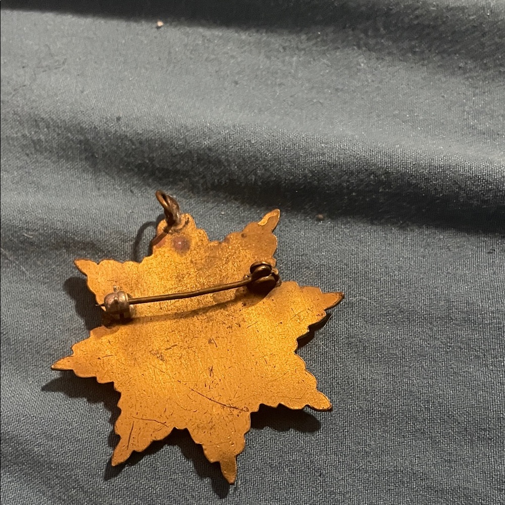 Gold Star Emblem with Crest - Picture 2 of 2